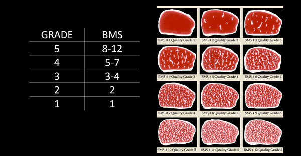 1. ระบบการจัดเกรดเนื้อวากิว (Wagyu Grading System)